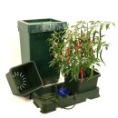 Autopot Easy2grow 2 Pot System