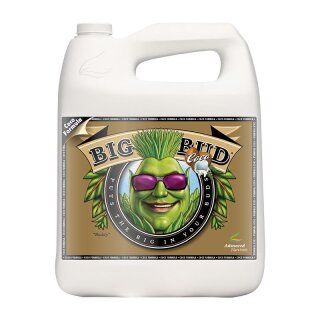 Advanced Nutrients Big Bud Coco 5L