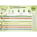 Green Buzz Nutrients Fast Plants Spray 100ml