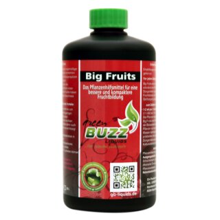 Green Buzz Nutrients Big Fruits 500ml