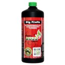 Green Buzz Nutrients Big Fruits 1L