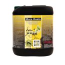 Green Buzz Nutrients More Roots Standard 5L
